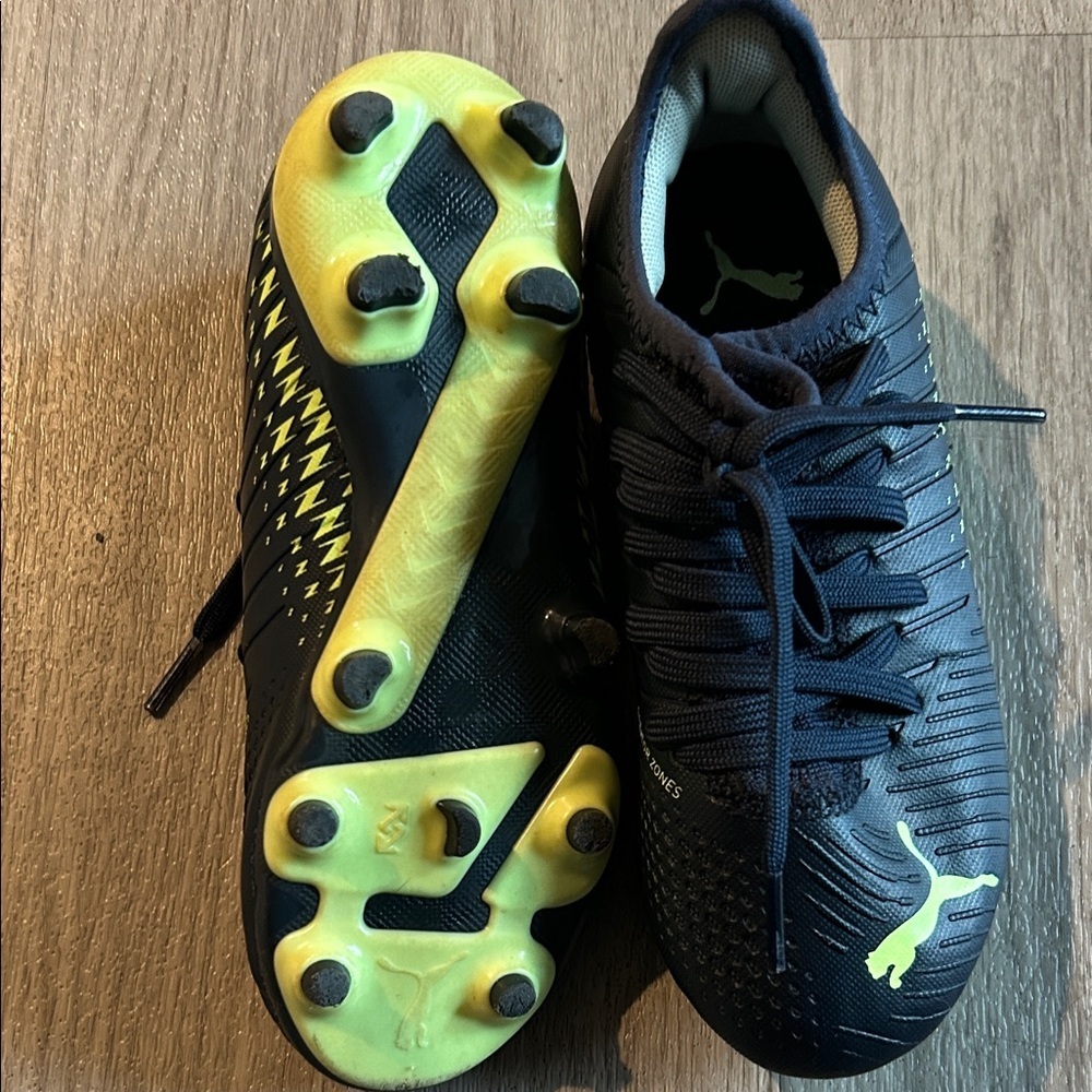 Puma with Vibrant Yellow Accents - Picture 6 of 8